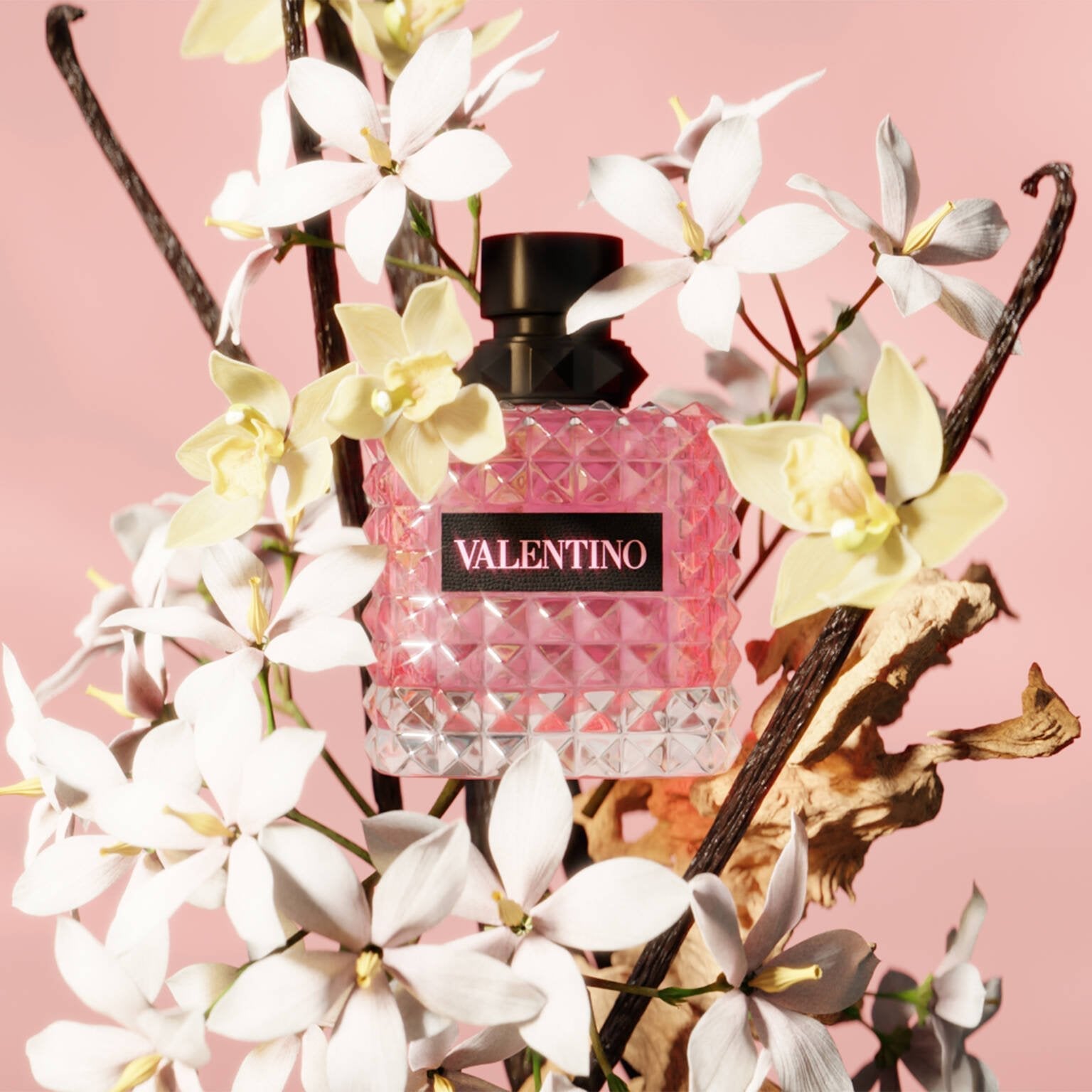 Valentino Donna Born In Roma