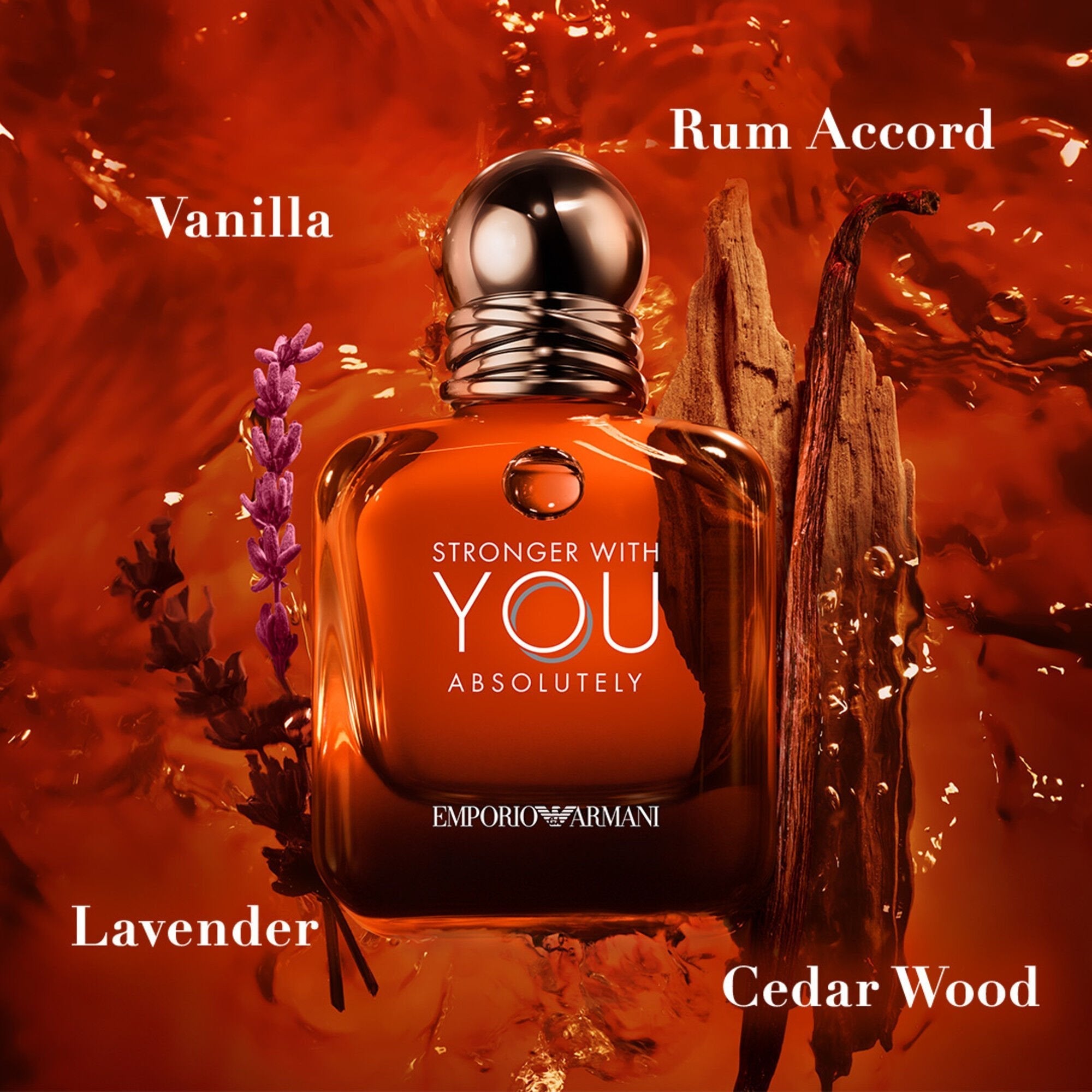 Armani Beauty Stronger With You Absolutely